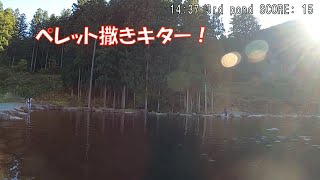 ニジマス管理釣り場（フライ）・アウトドアヴィレッジ発光路の森フィッシングエリア（栃木県）・2021/10/29