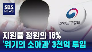 야간 진료 늘리고 수가 인상…'위기의 소아과' 3천억 투입 / SBS