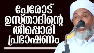 കേട്ടിരിന്ന് പോവും ഈ വാക്കുകൾ | പേരോട് ഉസ്താദിൻ്റെ കിടിലൻ പ്രഭാഷണം | Perod Usthad | Malayalam Speech