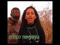 saron teferi miso negaya