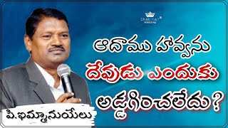 మానవుని సార్వభౌమత్వం || ఆదాము, హవ్వను దేవుడు ఎందుకు అడ్డగించలేదు?|| Bro. P. Immanuel | 17th Sep,2020