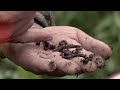 unlock the secret to perfect soil the key to a thriving garden ground up series part 3