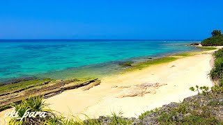 沖縄の青い海 波打ち際 2本立て！!  優しい波の音 癒やし 読谷村 Okinawa  Beach Birds Chirping Relaxation 3 HOUR