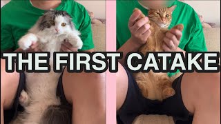 乃木坂46インフルエンサー踊ってみた|THE FIRST CATAKE