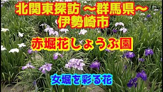 北関東探訪　赤堀花しょうぶ園～群馬県伊勢崎市を行く～