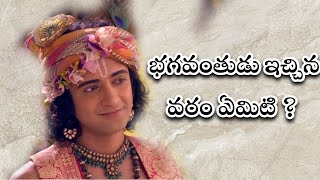 భగవంతుడు ఇచ్చిన వరం ఏమిటి ? || Ep 316 || KrishnaVaani || RadhaKrishnaTelugu