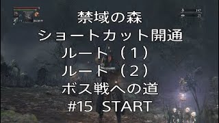 #15【ブラッドボーン】禁域の森 ショートカット開通 ルート1 ルート2 ボス戦への道！