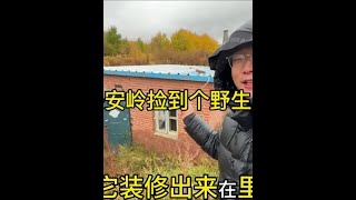 把它装修改造出来就在里面过年了，今天气温高到处都是稀泥巴#旅行推荐官 #建在山里的房子 #荒野求生 #根河 #大兴安岭