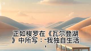 《穿透虚幻：孤独者的胜利与追寻真理的终极试炼》