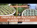 Create a $2,500 Succulent Planter for $250 -- DIY Succulent Grid Planter in a Shallow Circular Pot