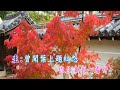 紅葉詩媒 林家聲 u0026李寶瑩合唱 葉紹德撰曲 蘭子視頻2022 4 12