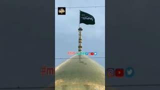 RozaE Mubarak Bibi Zainabع❤️|Holy Shrine of Syeda Zainabع|Damascus Iraq, Ali Raza Rizvi|#mirzakumail
