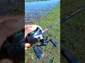 fishing videos tricks i fish adventure video fishing shorts carp fish justfishing