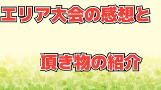 エリア大会の感想と頂き物の紹介！[SDBH][DBH][スーパードラゴンボールヒーローズ]