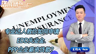 专业达人教你如何申请EDD失业金、PPP企业薪资贷款？《洛城情报站》 第119期Apr 13, 2020