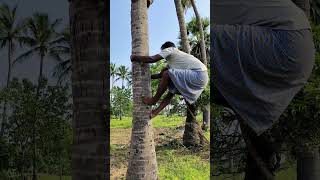 🤣 Macha Aalu Varangala Paru 🤣 #trending #comedy #viral #video #funny #friends #trees #funnyvideo 🤣