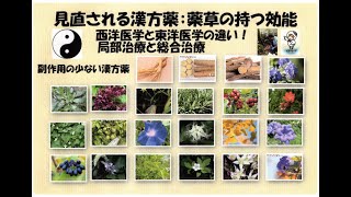 見直される漢方薬；薬草の持つ効能