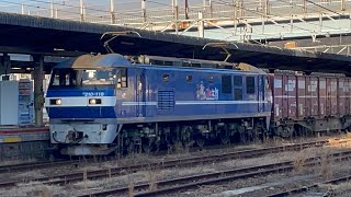 1053レ　越谷タ→福岡タ　EF210-118号機牽引貨物列車