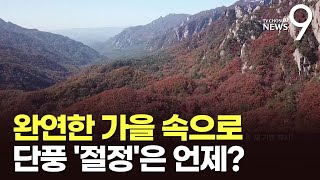 완연한 가을속으로…절정 치닫는 설악산 단풍