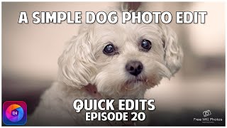 Dog Photo Editing In On1 Photo Raw 2023