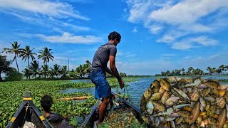 അയൽക്കാരൻ പയ്യൻ പള്ളത്തിപിടിക്കാൻ വലയിട്ടപ്പോൾ കിട്ടിയ എട്ടിന്റെപണി |Earth Lovers media|RealLifeVlog