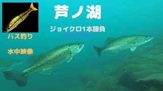 ジョイクロで2本!!    芦ノ湖 釣行と水中映像