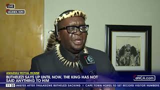 The King has been pressured to part ways with me - Buthelezi