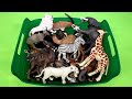 African Savanna and Grassland Animals