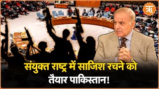 UNSC में शामिल हुआ Pakistan, जानिए अन्य देशों के लिए कैसे होगा खतरनाक साबित | Ritam Hindi