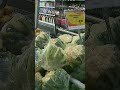 Who qualifies for Ottawa’s grocery benefit — and how much will they get?
