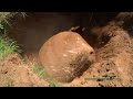 removing rocks from food plots