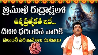 త్రిముఖి రుద్రాక్ష ధరిస్తే కలిగే లాభాలు ? || 3 Mukhi Rudraksha Benefits || Bhakthi Margam || Hit Tv