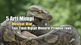 5 Meanings of Dreams About Seeing a Snake But Not Being Bitten According to Javanese Primbon