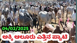 ಅಕ್ಕಿ ಆಲೂರು ಎತ್ತಿನ ಪ್ಯಾಟಿ || AkkiAluru Bulls Market || ಪ್ರತಿ ಮಂಗಳವಾರ ಬೆಳಿಗ್ಗೆ  #akkialurubullsmarket