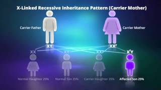 What is X-linked Recessive Inheritance?