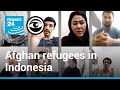 Di Indonesia, keputusasaan semakin meningkat terhadap pengungsi Afghanistan yang terjebak dalam ketidakpastian selama bertahun-tahun • The Observers