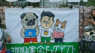 珍獣【さかがみ家×DOGDEPTコラボカフェ第二弾】に行くの巻〜【写真撮影編】〜