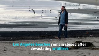 Los Angeles beaches remain closed after devastating wildfires