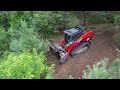 kubota svl97 2 with fae head mulching a field of invasive scots pine with machine walk around.