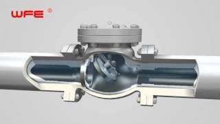 WFE API Swing Check Valves 3D Demonstration