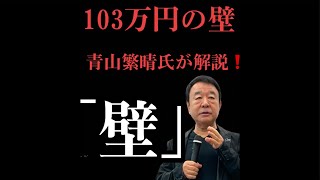 103万円の壁‼️ #虎ノ門ニュース #103万円の壁 青山繁晴応援 きよちゃんch ★次の自民党総裁選も目指します がライブ配信中！