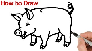 How to Draw Little Pig / Animals Drawings for beginners