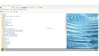 GCSS-ARMY HACKS (How to create a Purchasing Request (PR)/3161 for lateral transfer)