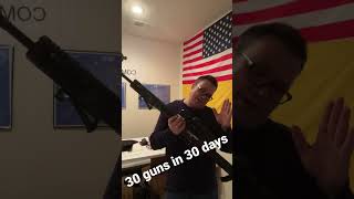 Gun Collection 2023. 30 Guns In 30 Days. F1 Firearms AR-10