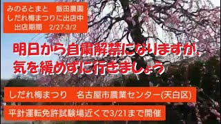 #2 名古屋市農業センター　しだれ梅まつりに出店中です