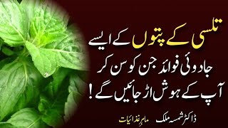 TOP 7 AMAZING HEALTH BENEFITS OF BASIL LEAVES | Tulsi ke Fayde in Urdu | Dietitian Shamsa Malik