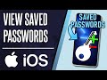 How to View Saved Passwords on iPhone or iPad (iOS)
