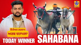 Today Winner | Sahabana | Ludhiana | Ox Races | 21.22 | 10 Jan 2025 | Khalsaji Tv