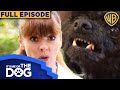 It's Me or The Dog USA | Season 1 Episode 10 | Warner Bros. TV