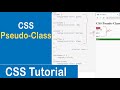 #31 CSS Pseudo-Class | Link | Visited | Hover | Active | CSS Tutorial